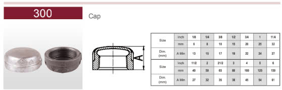 Nắp bịt ren mạ kẽm MECH