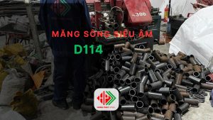 Măng Sông Siêu Âm D114