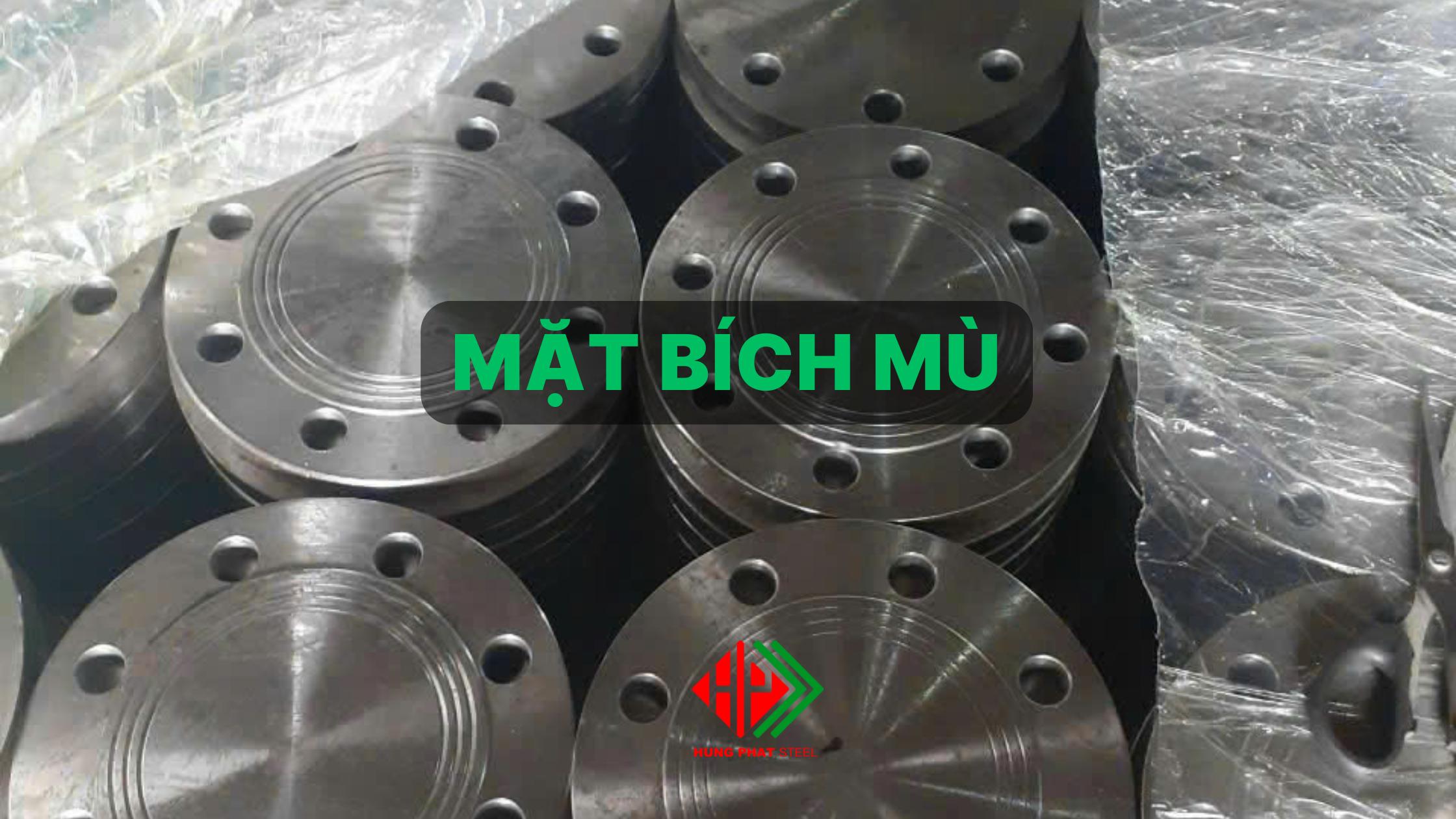 Mặt bích mù